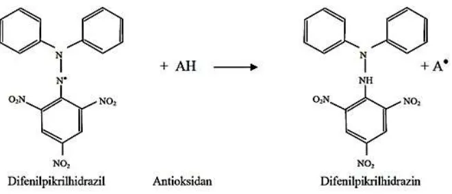 Gambar 2.2. Reaksi peredaman DPPH dengan senyawa antioksidan (Molyneux, 
