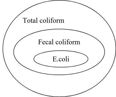 Gambar 2.2. Hubungan Antara Total coliforms, Fecal coliforms, dan E.coli (Sumber: New York State Departmen Of Health, 2011) 