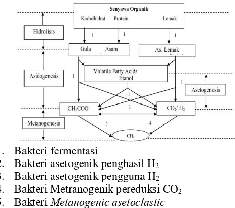 Gambar II.8 Diagram Proses Pembentukan Biogas 