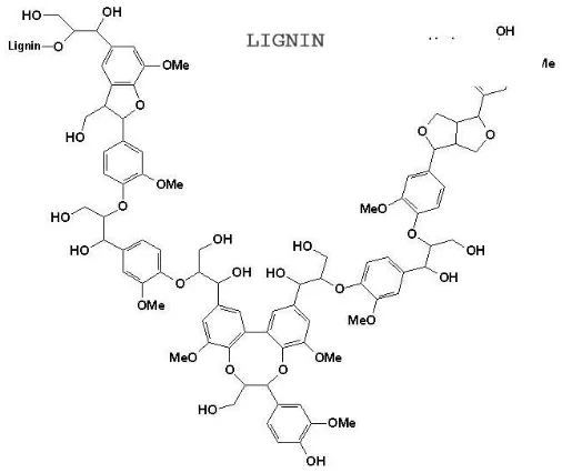 Gambar II.5 Struktur molekul lignin 