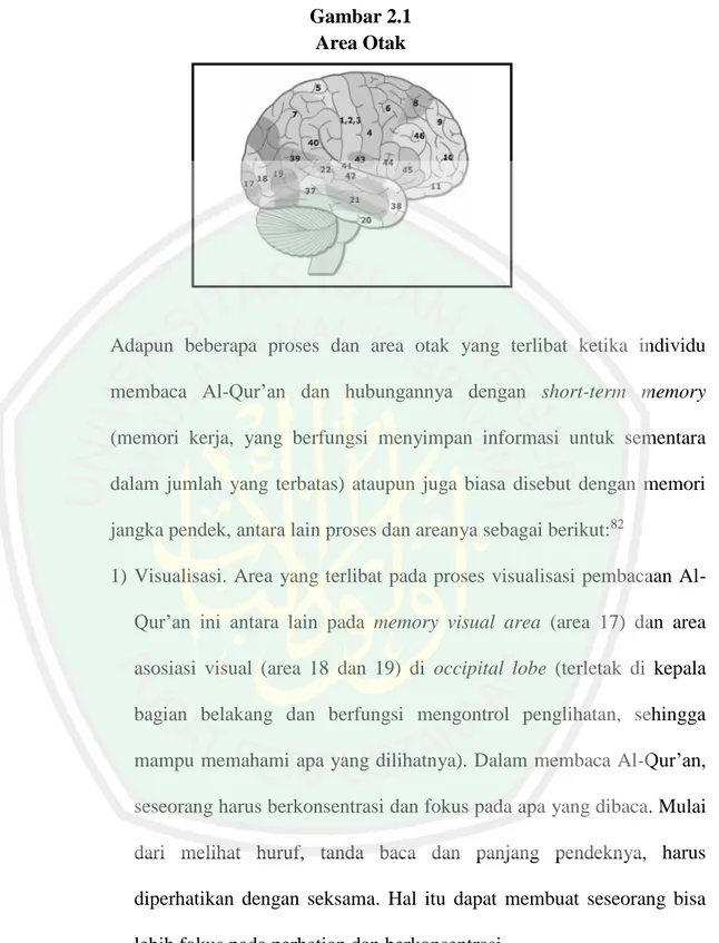 Gambar 2.1  Area Otak 