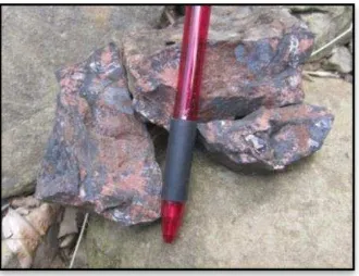 Gambar 9.  Fotomikrograf sayatan poles STM 1438 RC pirit (P), kalkopirit (Kp), hematit (He) dan molibdenit (Mo) dalam massa batuan