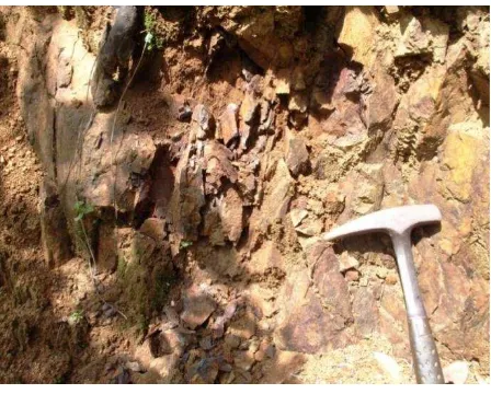 Gambar 4. Singkapan batuan diorit di Sungai Pedunun 