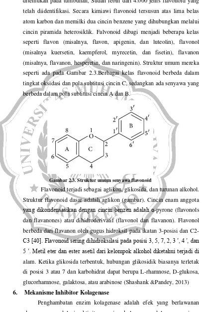 Gambar 2.3. Struktur umum senyawa flavonoid 