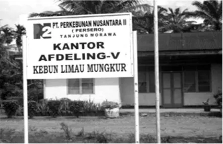 Gambar 1. Kantor PTPN II Kebun Limau Mung-kur  di Dusun Tungkusan. Sumber: foto pribadi