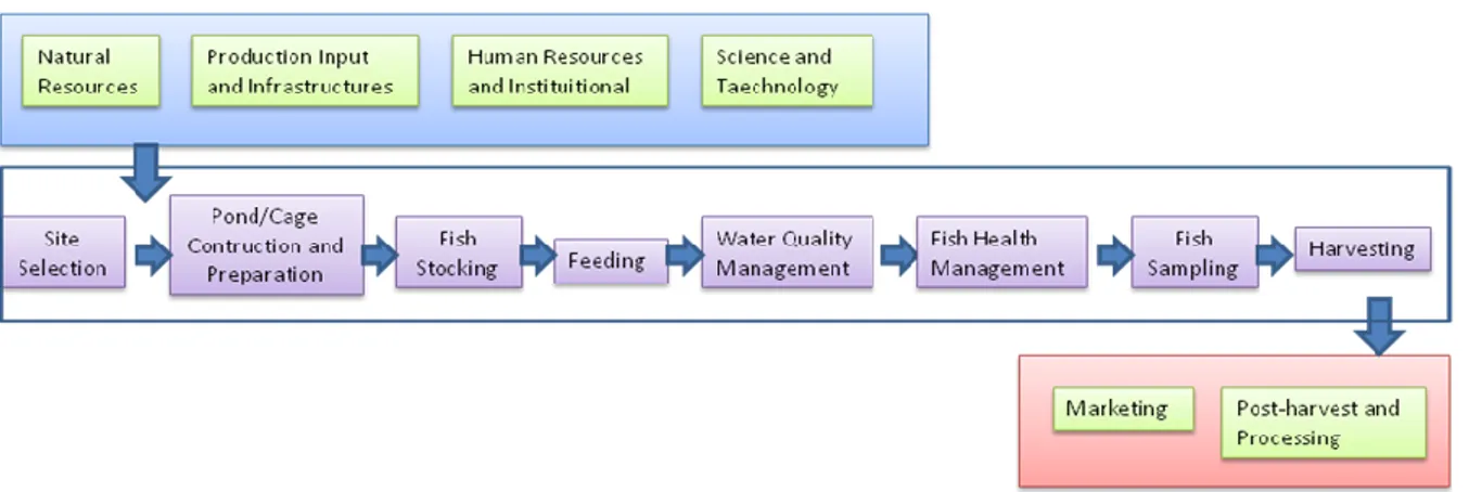 Gambar  2.  Sistem  produksi  akuakultur  on-farm  dan  off-farm  secara  umum  yang  meliputi  input,  proses  dan  output (Effendi 2010) 