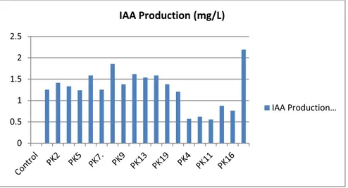 Gambar 3. Hasil  Pengukuran  Kuantitatif  Produksi  IAA  (ml/l)  Isolat  Cendawan  Rhizosfer  Padi Aromatik  Jenis  Pare Kaloko