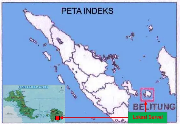 Gambar 2. Peta Geologi daerah Survey IP dan Geomagnet Belitung Timur  