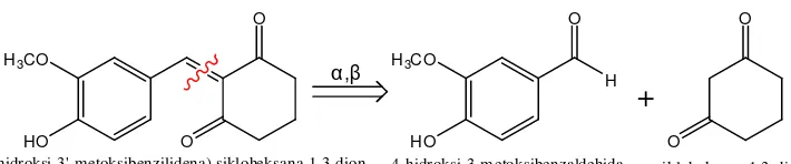 Gambar 3. Analisis diskoneksi senyawa 2-(4’-hidroksi-3’-metoksibenzilidena)