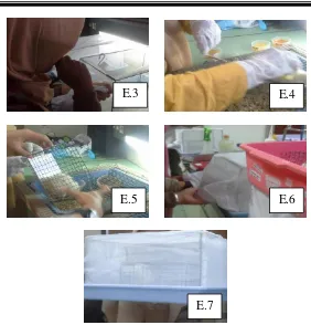 Gambar 3.6 Proses Analisa Efektivitas Sabun Anti Nyamuk 