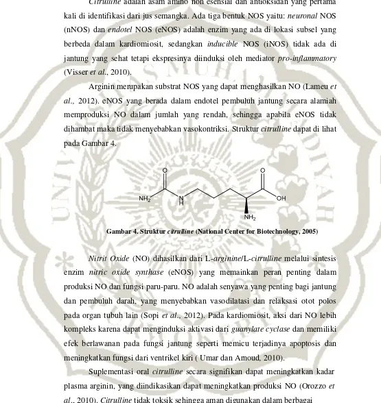 Gambar 4. Struktur citrulline (National Center for Biotechnology, 2005) 