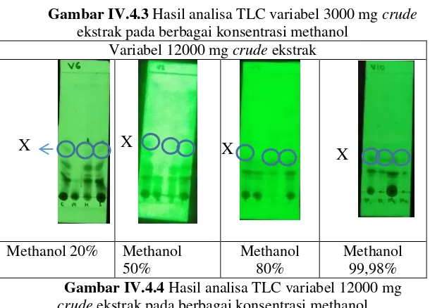 Gambar IV.4.3 Hasil analisa TLC variabel 3000 mg crude 