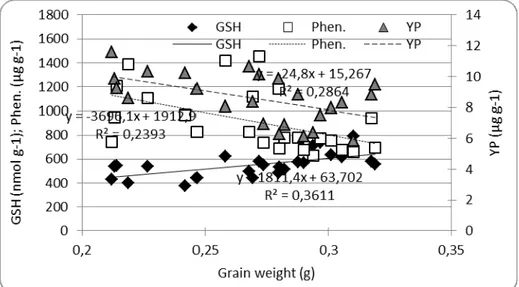 Figure 3. Interdependence between grain weight and glutathione (GSH),   phenolics (Phen.) and yellow pigment (YP) content in maize grain