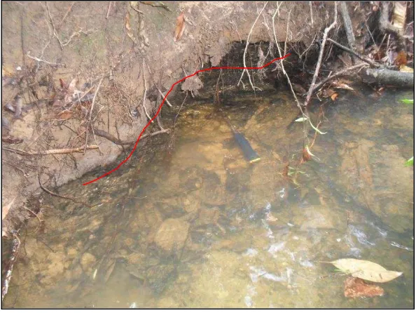 Gambar 6. Singkapan Batubara di Sungai Talang Bakir  Dengan Ketebalan Lebih Dari 0,5 Meter