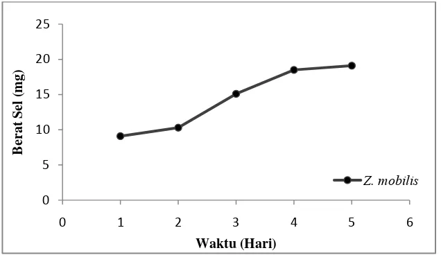 Gambar 2.8. Kurva Pertumbuhan Z. mobilis 