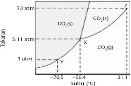 Gambar II.3 Diagram Fase CO2 (Nasrullah, 2014)  