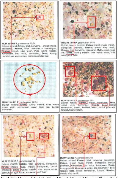 Gambar 4.  Foto Mikrograf Hasil Identifikasi Mineral di Bawah Mikroskop Stereo Binokuler Conto Konsentrat Dulang  