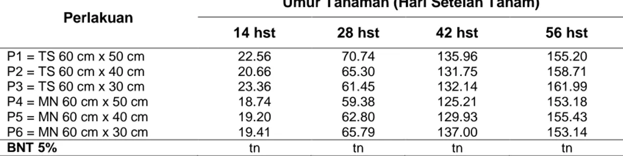 Tabel  1  Rata-rata  Tinggi  Tanaman  (cm)  Jagung  pada  Berbagai  Umur  Pengamatan    Akibat  Perlakuan Jarak Tanam Jagung 