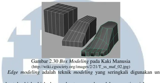 Gambar 2.30 Box Modeling pada Kaki Manusia 