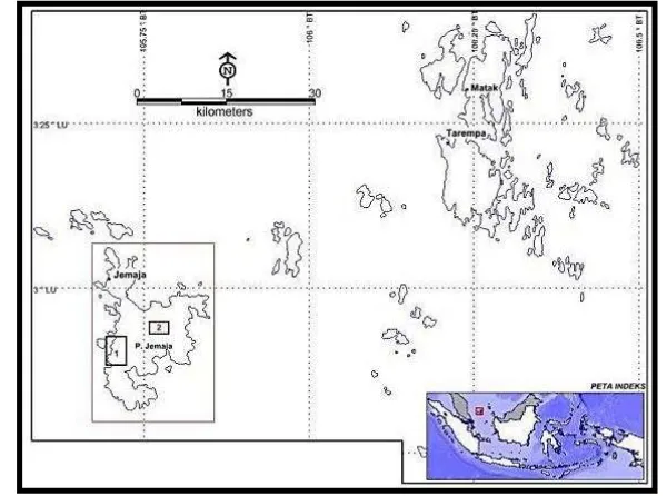 Gambar 1. Peta Rekomendasi Daerah-daerah Untuk Dilakukan Penyelidikan Geokimia Tanah di Pulau Jemaja, Kabupaten Kepulauan Anambas, Provinsi Kepulauan Riau 