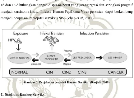 Gambar 2. Perjalanan penyakit Kanker Serviks   (Rasjidi, 2009) 