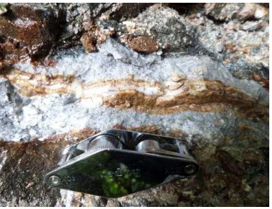 Gambar 8.  Singkapan Urat Kuarsa Mengisi Rekahan Batuan Diorit Mengandung Mineral Sulfida Pirit, Kalkopirit, Galena