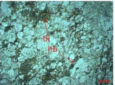 Gambar 10. Beberapa Mineral Sulfida Pirit, Galena dan Sfalerit, Dari Hasil Analisis KIMIA menunjukkan   Fotomikrograf Specimen Conto SSE-15MN207F Pembesaran 4,7x Nampak Kadar Emas 4,90 gr/t Au 