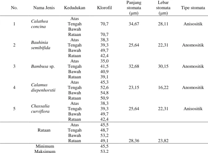 Tabel 7. Parameter Anatomis Tumbuhan Herba pada Paparan Cahaya Ringan 