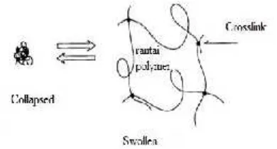 Gambar II.1.1 Skematik gel dalam dua faseyaitu collapsed dan swollen. (Tanaka. 1978)
