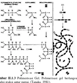 Gambar II.1.3 Polimerisasi Gel. Polimerisasi gel berlangsung