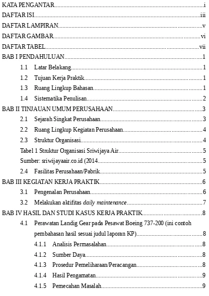 Tabel 1 Struktur Organisasi Sriwijaya Air.......................................................5