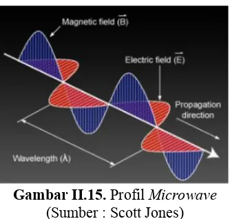 Gambar II.15. Profil Microwave