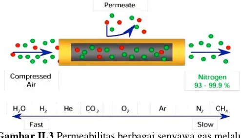 Gambar II.3 Permeabilitas berbagai senyawa gas gas melalui