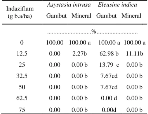 Tabel  2.  Pengaruh  indaziflam  terhadap  persentaseA.intrusa  dan  E.  indicayang  tumbuhdi  tanah  gambut  dan  mineral  pada  4 MSA 