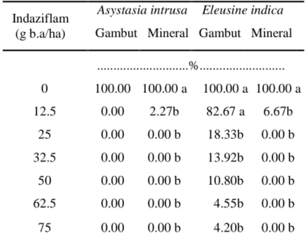 Tabel  3.  Pengaruh  indaziflam  terhadap  persentaseA.intrusa  dan  E.  indicayang  tumbuhdi  tanah  gambut  dan  mineral  pada  6 MSA 