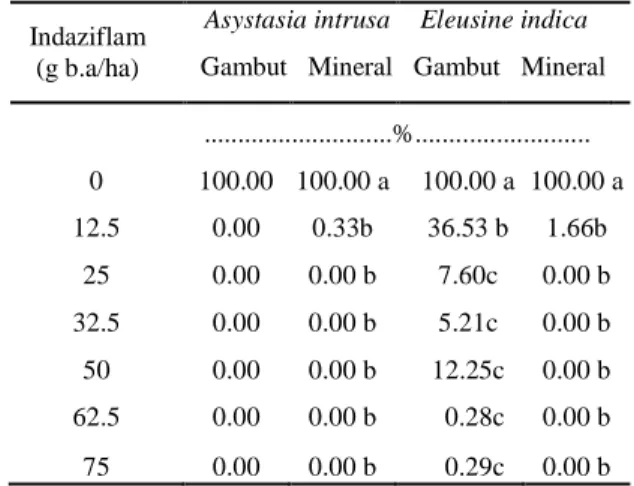 Tabel  4.  Pengaruh  indaziflamterhadap  persentase  bobot  segar  (%  kontrol)A. 