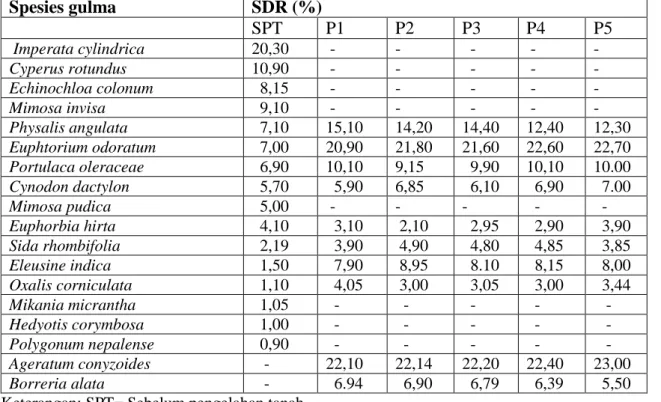 Tabel 3.   Komposisi gulma (SDR)  sebelum pengolahan tanah (SPT), dan umur 3 BST,        pada  pertanaman pepaya dengan pupuk organik (pukana=pupuk kandang       ayam)  dan  an  organik (NPK)  Spesies gulma  SDR (%)  SPT      P1  P2  P3  P4  P5   Imperata 