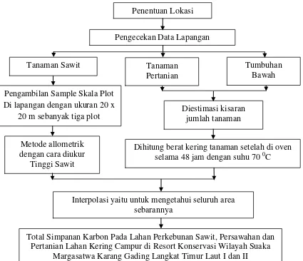 Gambar 2. Tahapan Pendugaan Simpanan Karbon  