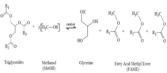 Gambar II.2. Skema reaksi transesterifikasi menggunakan metanol, R1 ,R2 dan R3 adalah jenis asam lemak yang berikatan membentuk trigliserida 