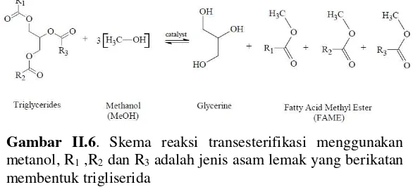 Gambar II.6. Skema reaksi transesterifikasi menggunakan 