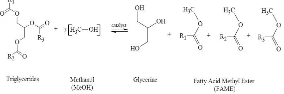 Gambar VI.2. Skema reaksi transesterifikasi menggunakan metanol, R1 ,R2 dan R3 adalah jenis asam lemak yang berikatan membentuk trigliserida 