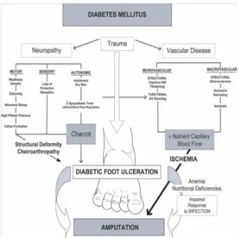 Gambar 2.1 : Patofisiologi Kaki Diabetes 