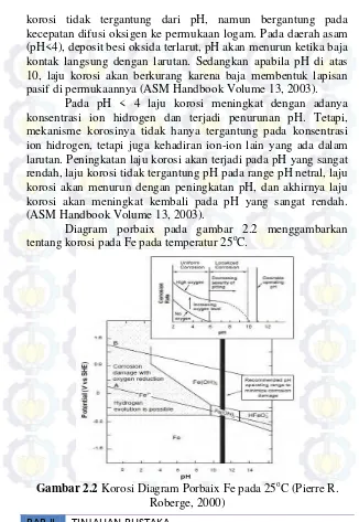 Gambar 2.2  Korosi Diagram Porbaix Fe pada 25oC (Pierre R. 