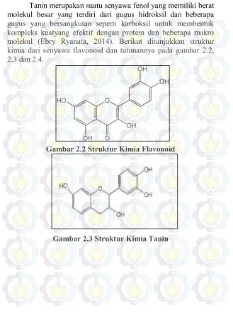 Gambar 2.2 Struktur Kimia Flavonoid 