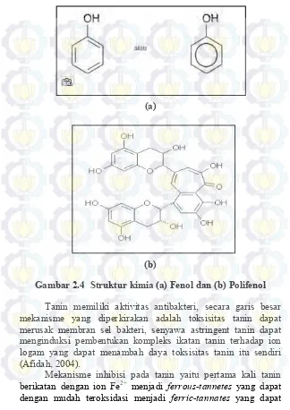 Gambar 2.4  Struktur kimia (a) Fenol dan (b) Polifenol 