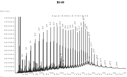 Gambar 10Gas Chromatograph Conto B3-65 pada kedalaman 77,60 � 78,60 m