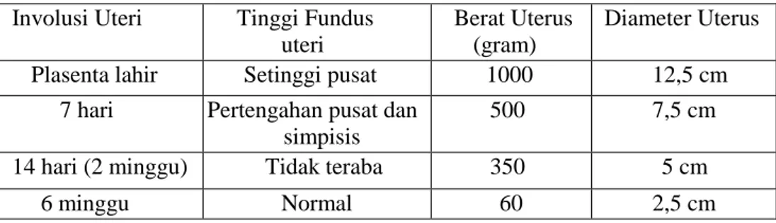 Tabel 10. Perubahan-Perubahan Normal Pada Uterus Selama Postpartum Involusi Uteri  Tinggi Fundus 