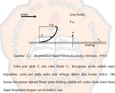 Gambar  2.2  Perpindahan Kalor Secara Konveksi (Holman, 1993) 