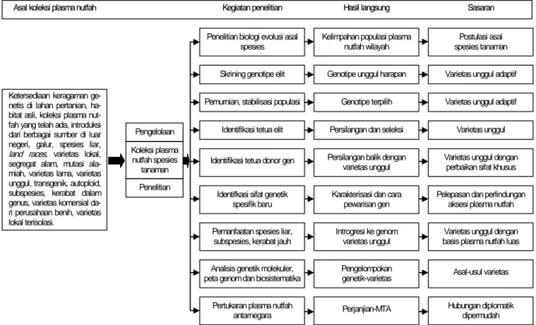 Gambar 1. Keterkaitan erat antara penelitian plasma nutfah dengan berbagai penelitian penggunaan plasma nutfah oleh pemulia, ahli  bioteknologi, dan disiplin penelitian lainnya