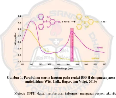 Gambar 1. Perubahan warna larutan pada reaksi DPPH dengan senyawa 